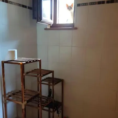 Casa Sole E Gatti, Montecarotto