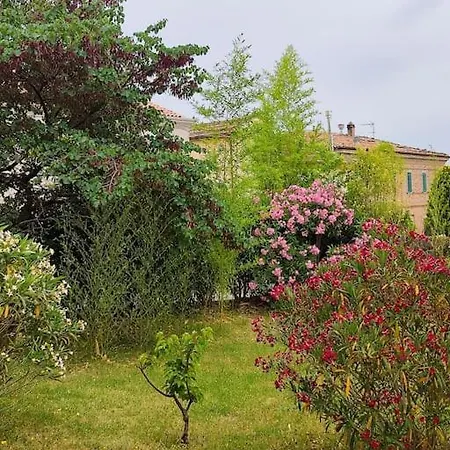 Casa Sole E Gatti, Apartment Montecarotto
